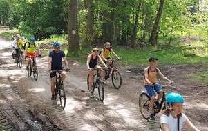 Uczestnicy rajdu jadą leśną drogą