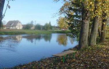 ławka na trawniku