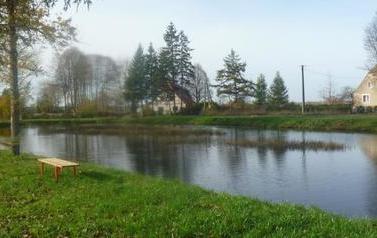 ławeczka nad stawem