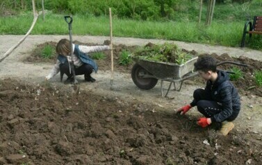 "Wiosenne porządki" 13.04.2024 36
