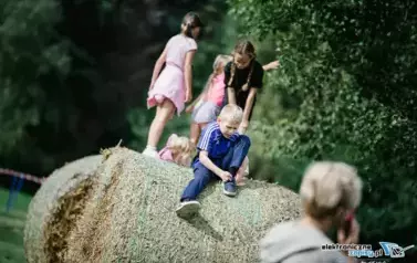 p8j417m3M0z0d1C7c5e7e7g7b9f0u267