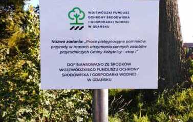 Tablica informacyjna - Reblino