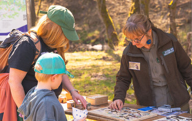 DSC05234