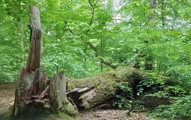 Szlaki piesze 1