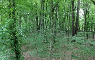Szlaki piesze 9
