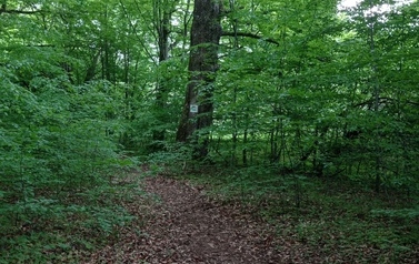Szlaki piesze 10