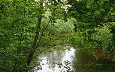 Szlaki piesze 11