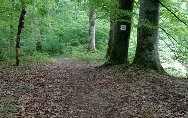 Szlaki piesze 16