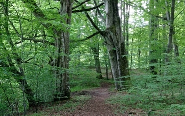 Szlaki piesze 17