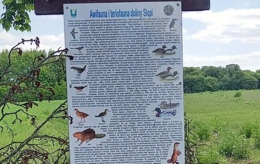 Szlaki piesze 20