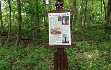 Szlaki piesze 21