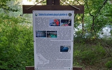 Szlaki piesze 25