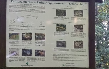 Szlaki piesze 26