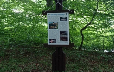 Szlaki piesze 28