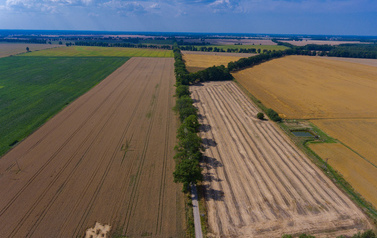 Krajobraz miejscowości Kuleszewo
