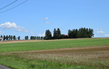 Krajobraz miejscowości Słonowiczki