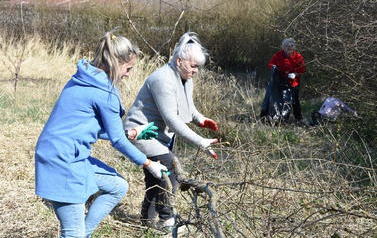 DSC_0536