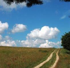 Krajobraz Gminy Kobylnica