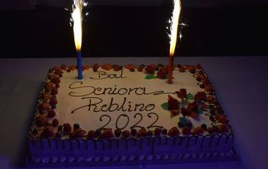 Reblino 2 (4)