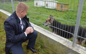 Na zdjęciu widać sekretarza gminy Kobylnica, kt&oacute;ry przygląda się psu na wybiegu. 