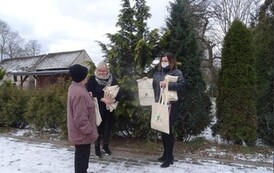 Zrzut ekranu 2022-01-25 083557