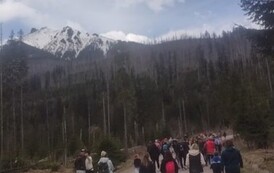 VID_20230502_105147509_exported_3629 (002)