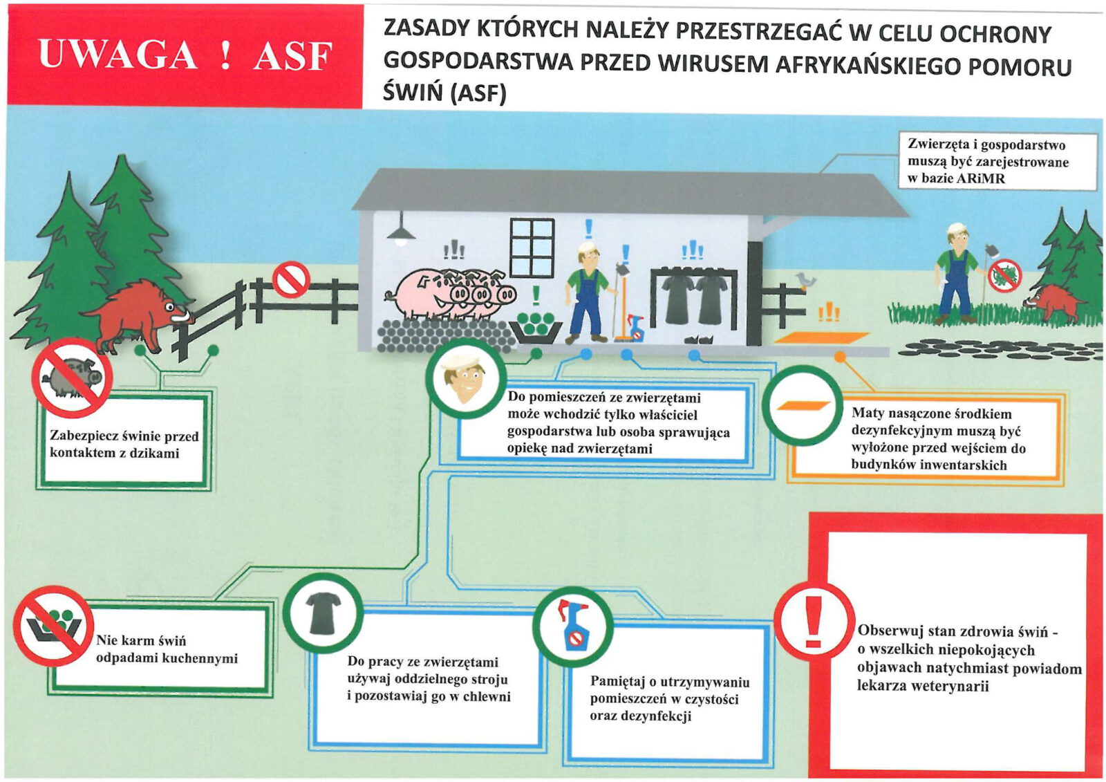 ASF-zasady-bioasekuracji-1-1600x1131