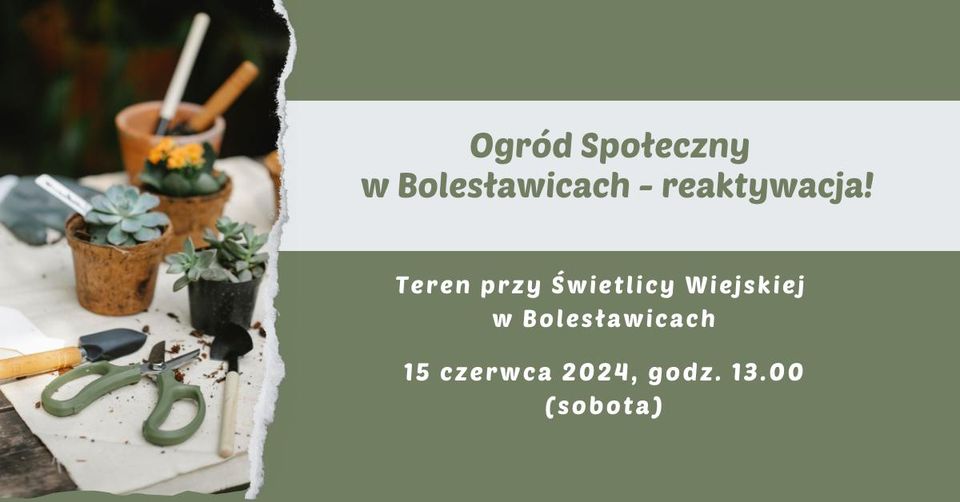 Ogr&oacute;d społeczny 