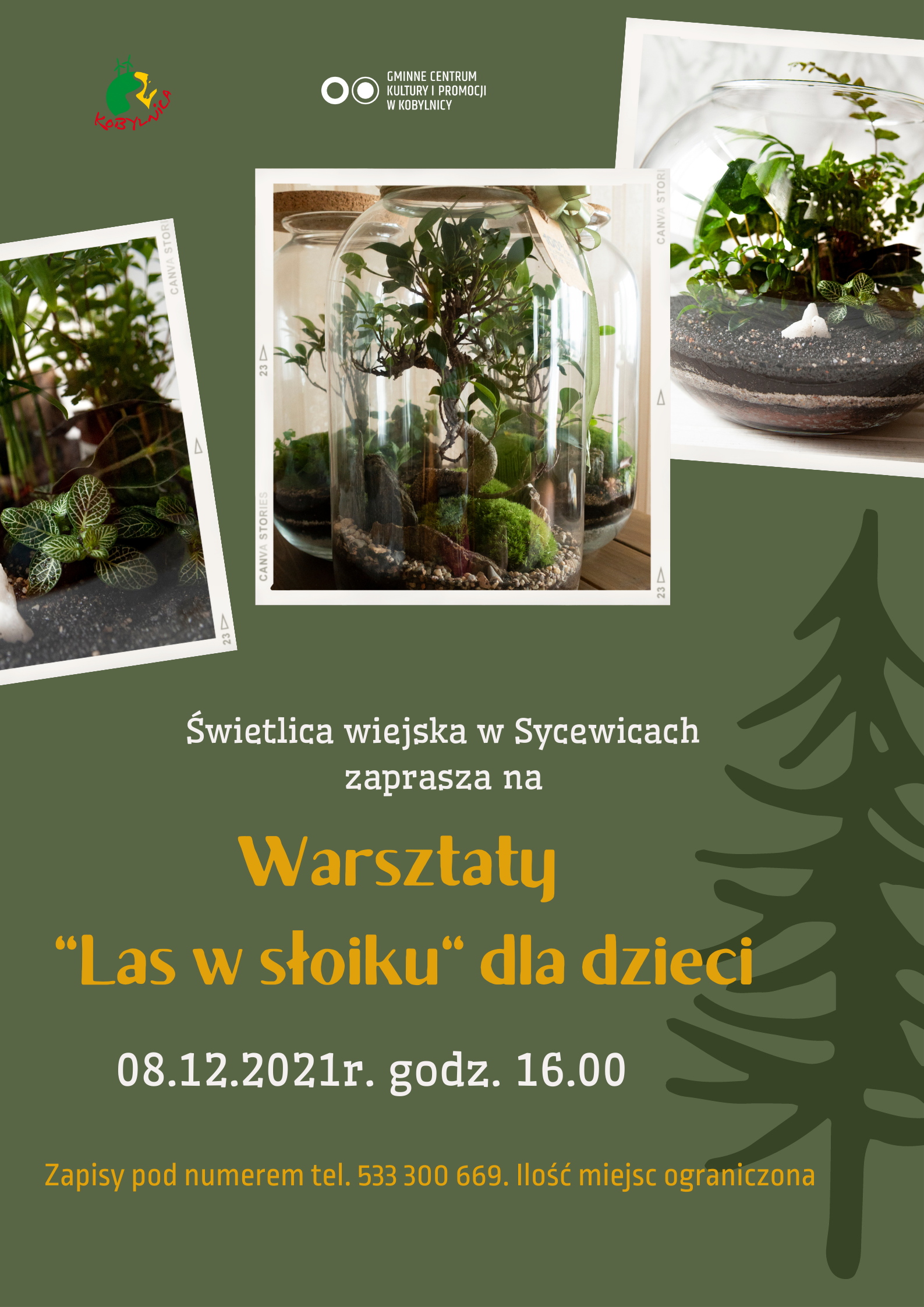 warsztaty las w słoiku