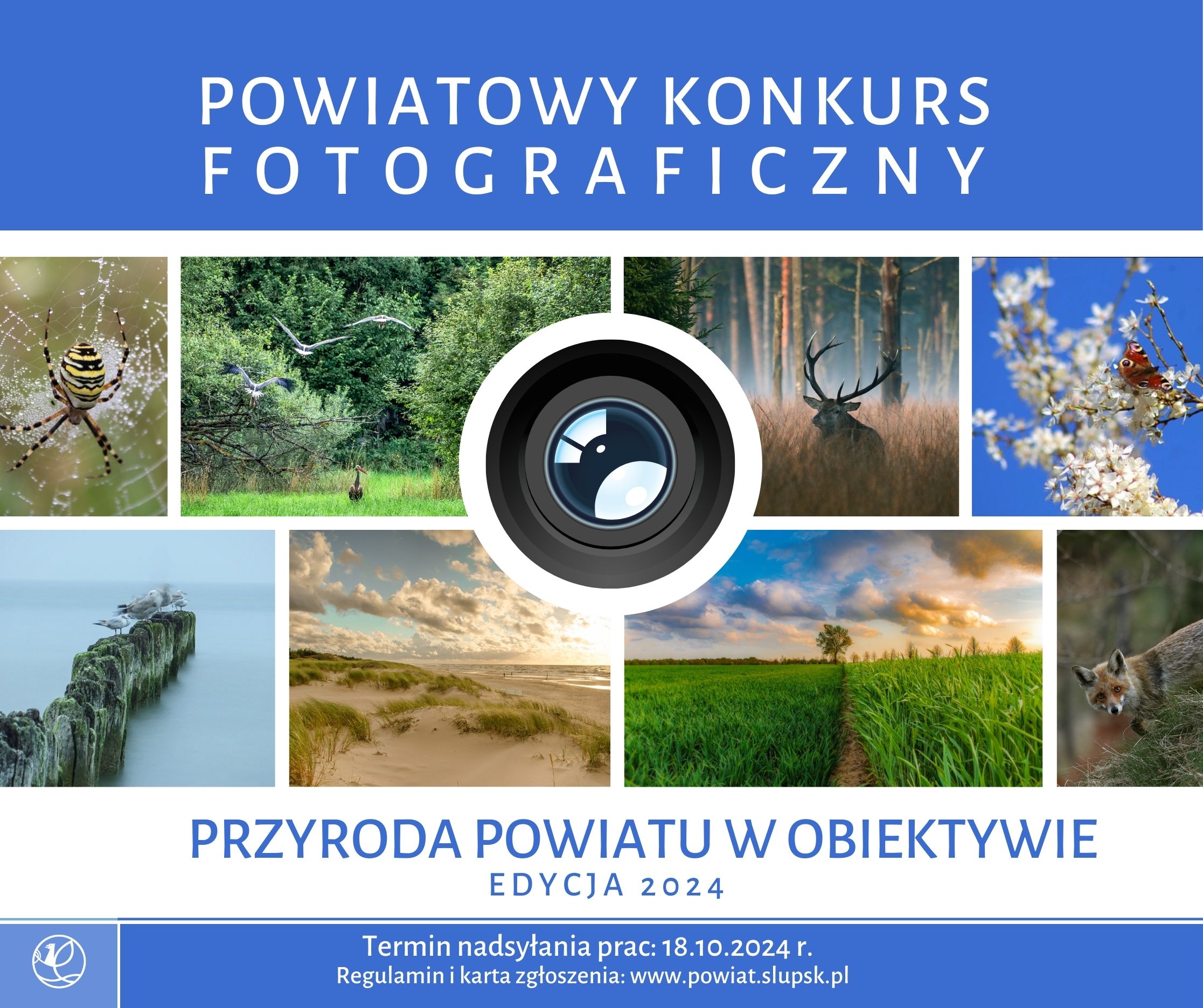 grafika konkursu fotograficznego