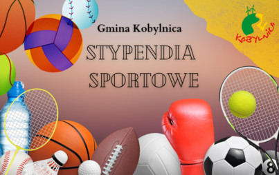 Zdjęcie do Wnioski o stypendia sportowe