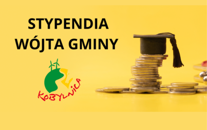 Zdjęcie do Stypendia W&oacute;jta Gminy Kobylnica dla uzdolnionych uczni&oacute;w  pobierających naukę na terenie Gminy Kobylnica