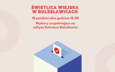Zdjęcie do Wybory uzupełniające na sołtysa w Sołectwie Bolesławice 