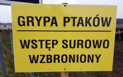 Zdjęcie do Wirus ptasiej grypy w Komiłowie 