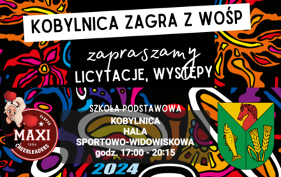 Zdjęcie do WOŚP zagra w Kobylnicy. Zapraszamy na aukcje