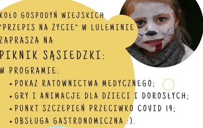 Zdjęcie do Piknik sąsiedzki w Luleminie 