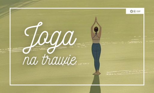 Zdjęcie do Joga na trawie w Kobylnicy